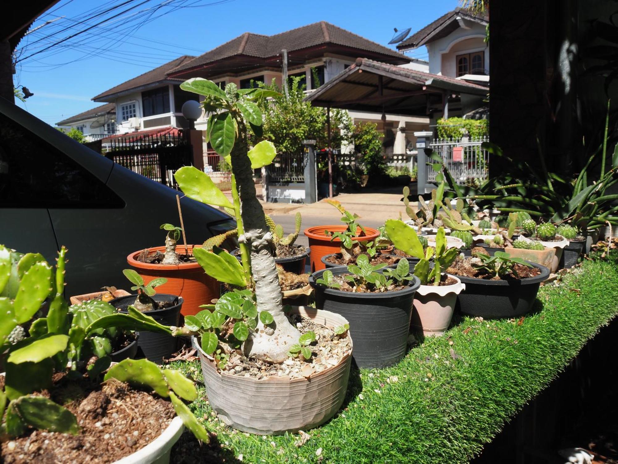 Punnpannsuk Hostel Trat Buitenkant foto